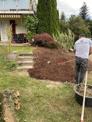 Schwabenwelt Gartenpflege & Hausmeisterservice