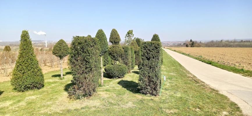 Jörg Schiller Garten- u Landschaftsbau