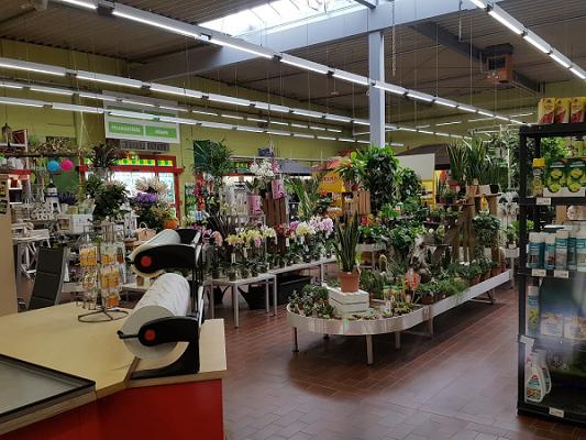 hagebaumarkt Barth GmbH & Co. KG