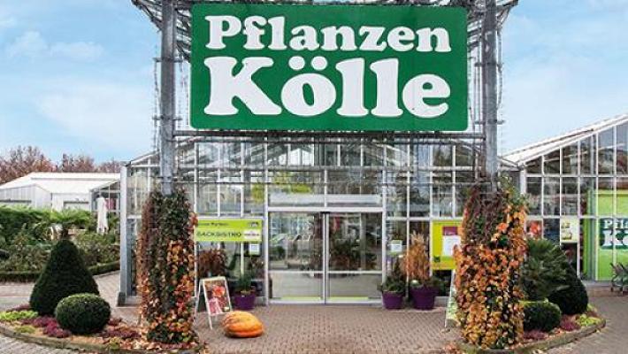 Pflanzen-Kölle Gartencenter GmbH & Co. KG Fellbach