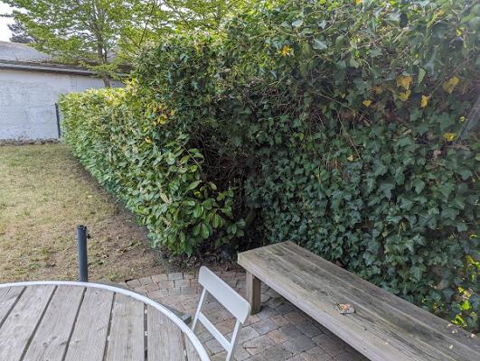 Ostsee Objektservice