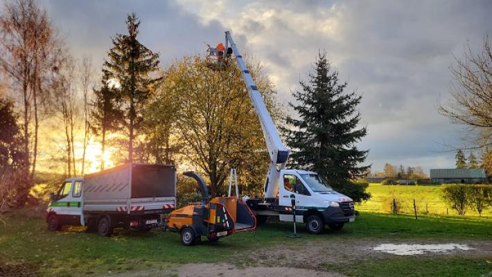 BV Baumpflege Vorpommern