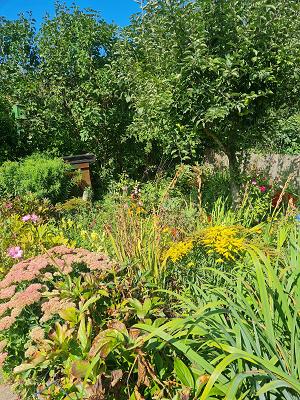 Kleingärtnervereinigung "Rügenland" e. V.