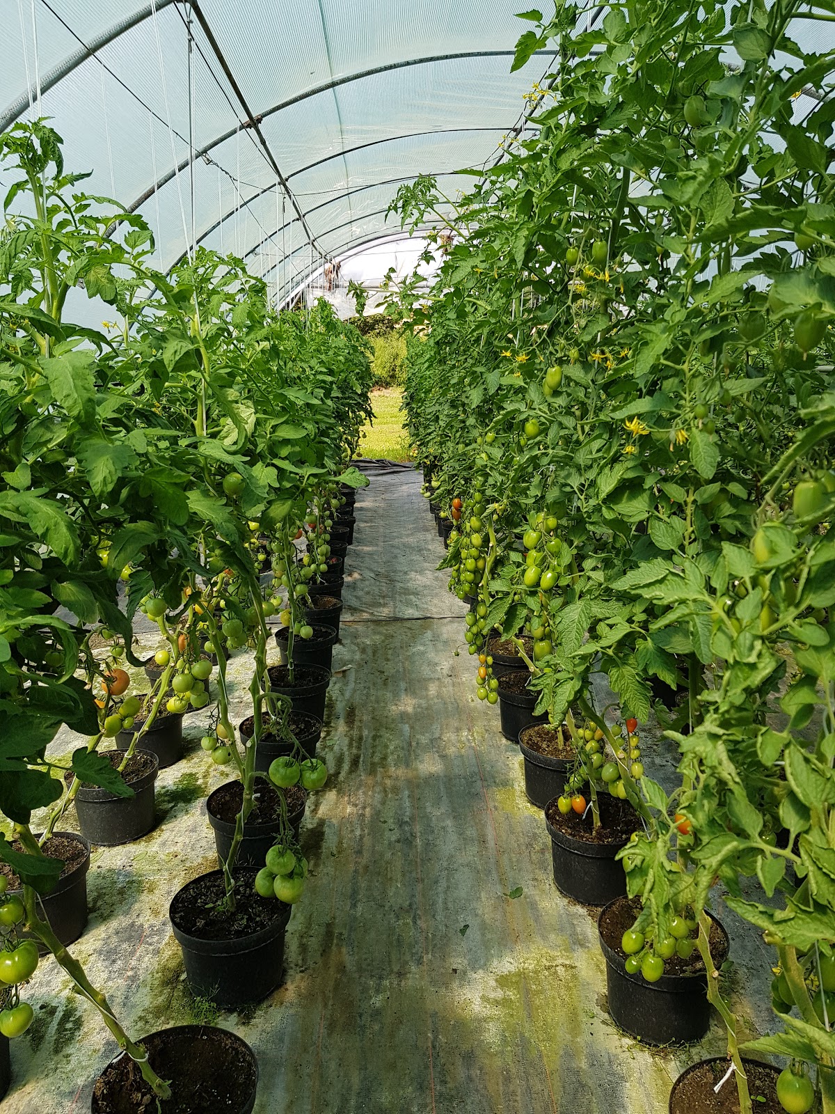 682eaa9f2e7cd