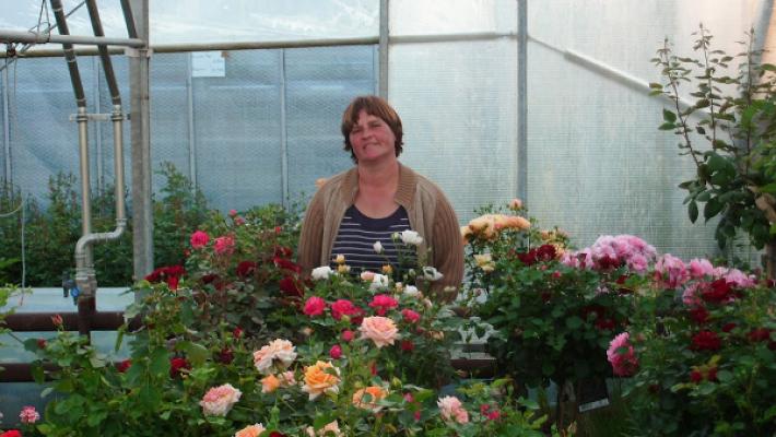 Blumenladen Ursula Müller - De Kruth Bock