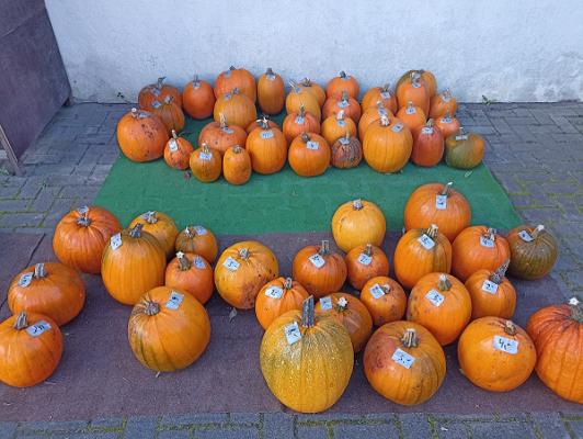 Gärtnerei Kruschke
