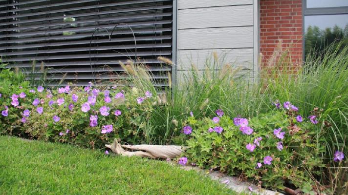 De Grashoppers, Dipl.-Ing. Christian Kron