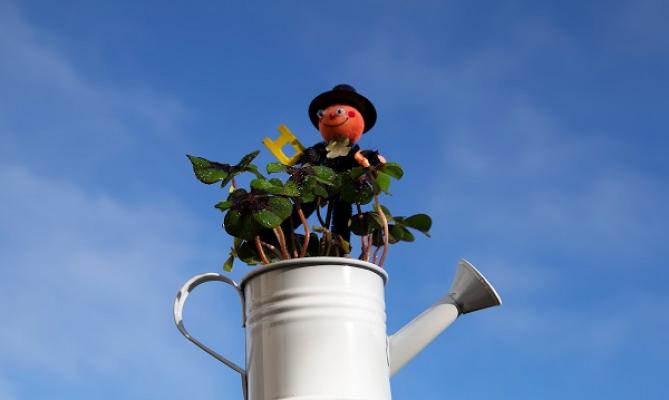 Garten-Gabold