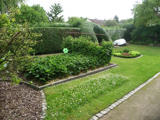Mohnwitz Gartenbau • Kaminholz