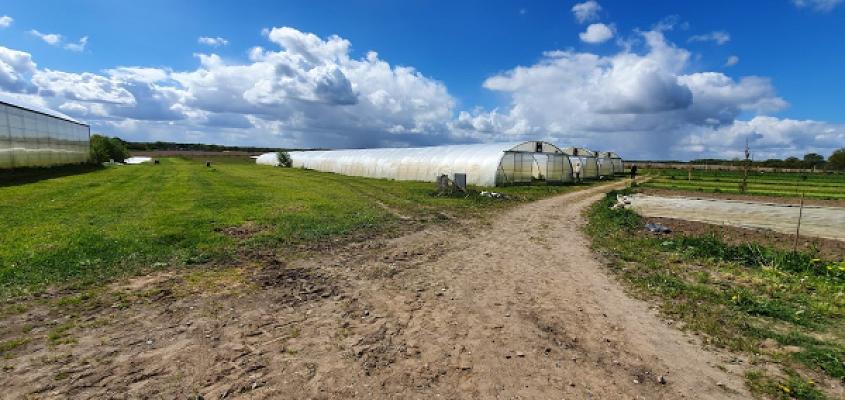Biogärtnerei Dirk von der Ehe
