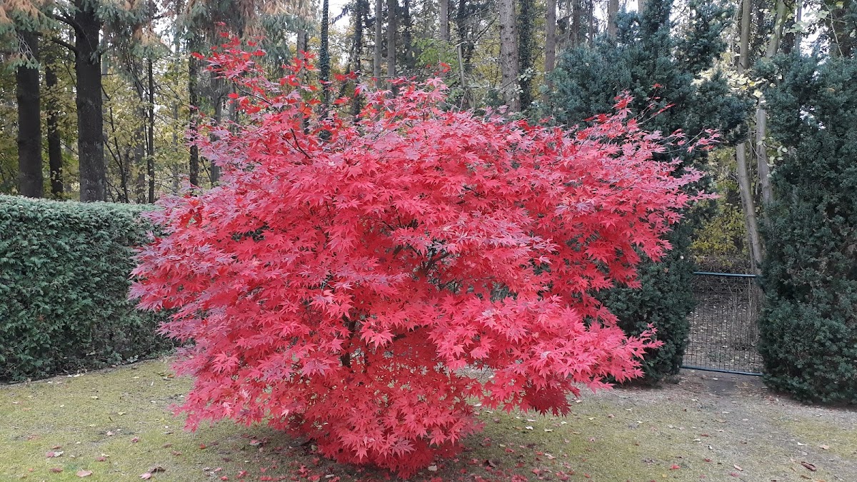682eab461ccd1