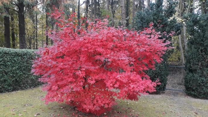 682eab461ccd1