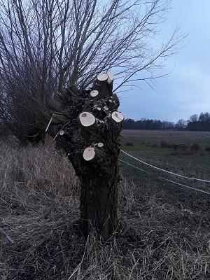 682eab4888ef3