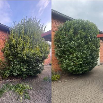 Gartenservice Kalz
