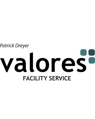 Patrick Dreyer, VALORES