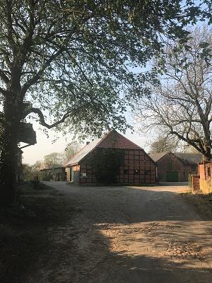 Garten Sommer