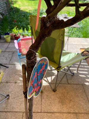 Soltauer Baumschulen Angelika & Christian Nielsen GbR