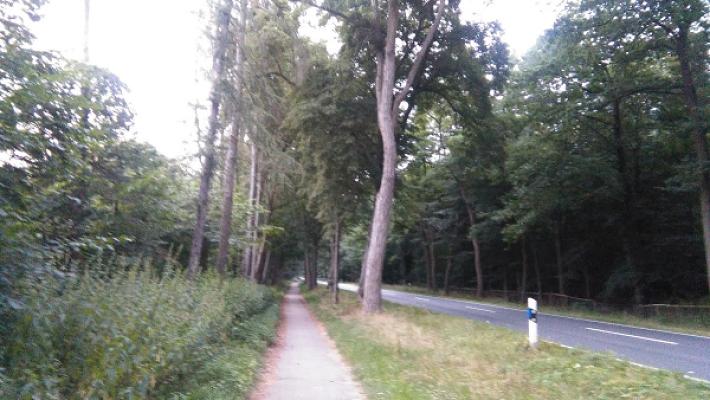 Stubbenfräsen Heidekreis