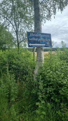 Selbstpflück Plantage
