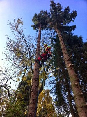 SUAS - Forst & Gartenbau