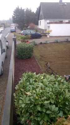Nuri‘s Gartenpflege