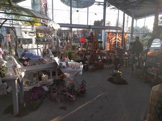 Schweizer Baum und Garten