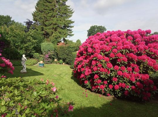 Liptow Gartengestaltung