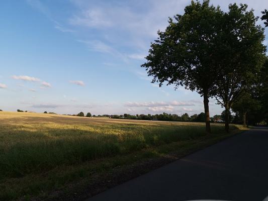 Gartenbau - Pritschow