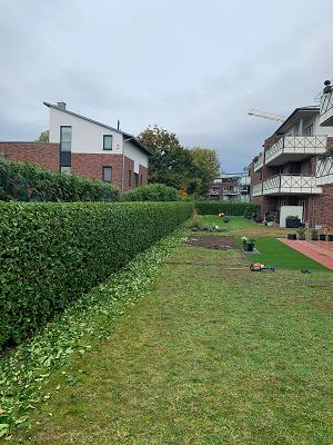 Garten und Landschaftbau Ardian Bytyqi