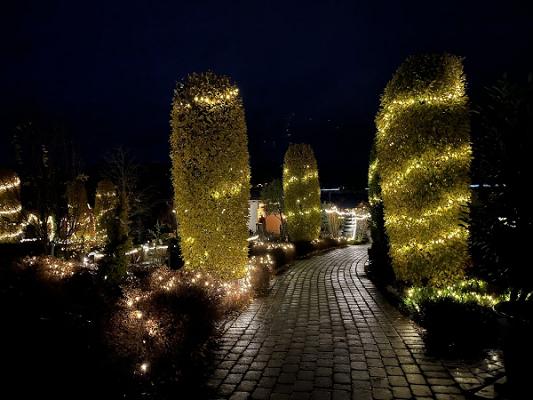 Dieter Schlegel Garten- und Landschaftsbau GmbH