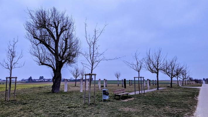 Garten der Triangulation