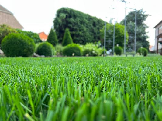 Glowienka Garten- & Landschaftspflege