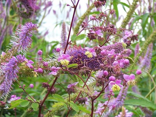 Gartenwerkstatt Nettlingen Sabine Papendorf
