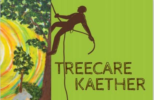 TreeCareKaether - Baumpflege, Baumfällung, Baumkontrolle, Baumpflanzung - Region Hildesheim, Goslar, Hannover