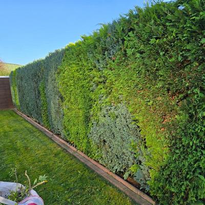 Gartenbau Freytag