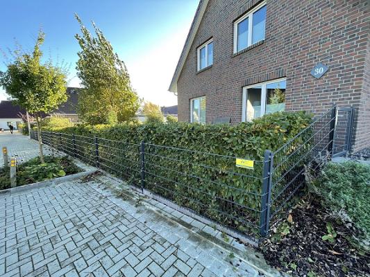 ZETT HAUS- & GARTENSERVICE