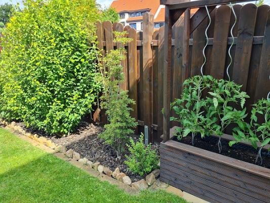 Gartengestaltung Morina