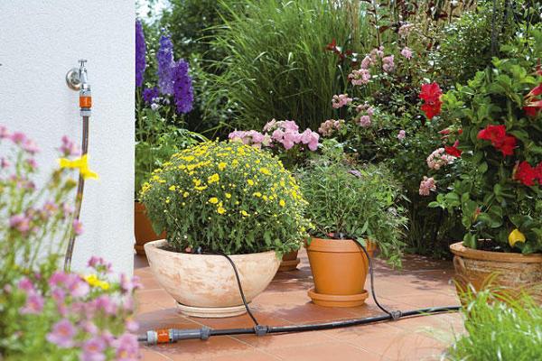Raschpichler Gartenbau Gbr