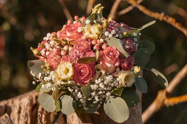 Baumgarte Gärtnerei | Uetze