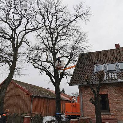 Luxa Dienstleistung