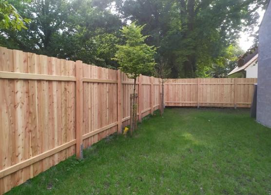 Wolfgang Wachtmeester Gartengestaltung und Gartenpflege