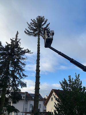Pably Haus- und Gartenpflege