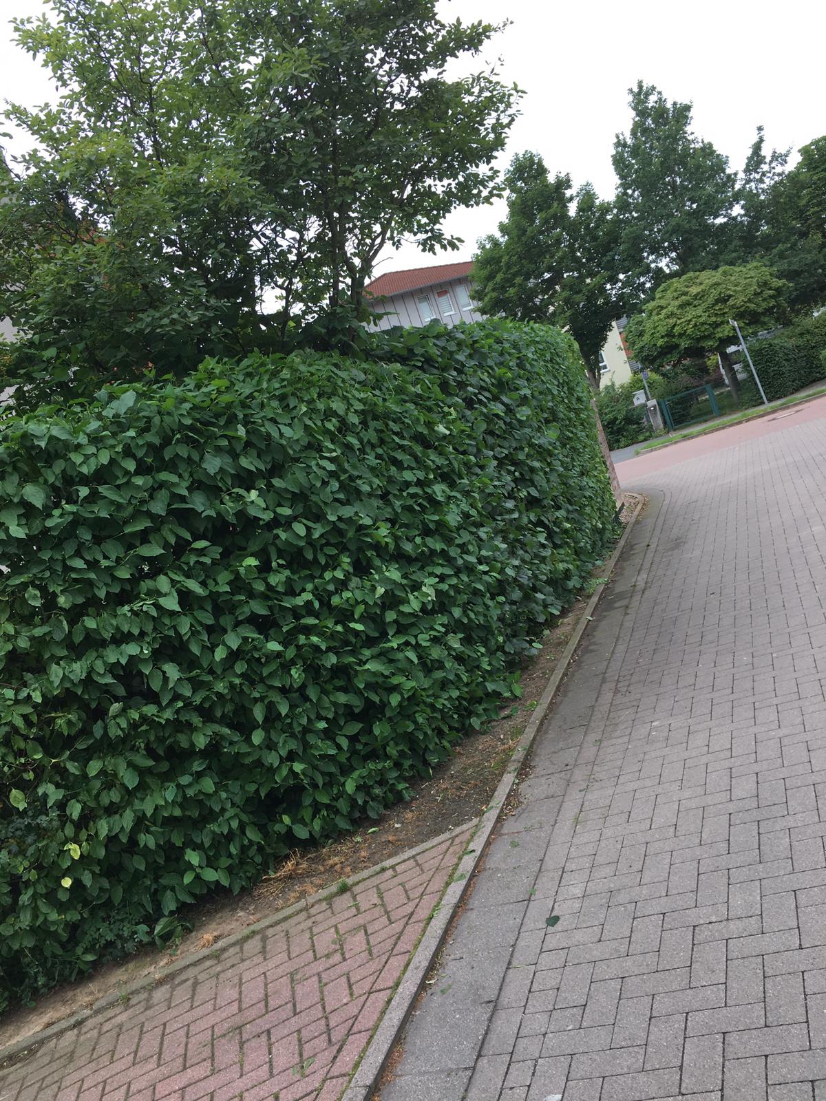 682eb0e84a39f