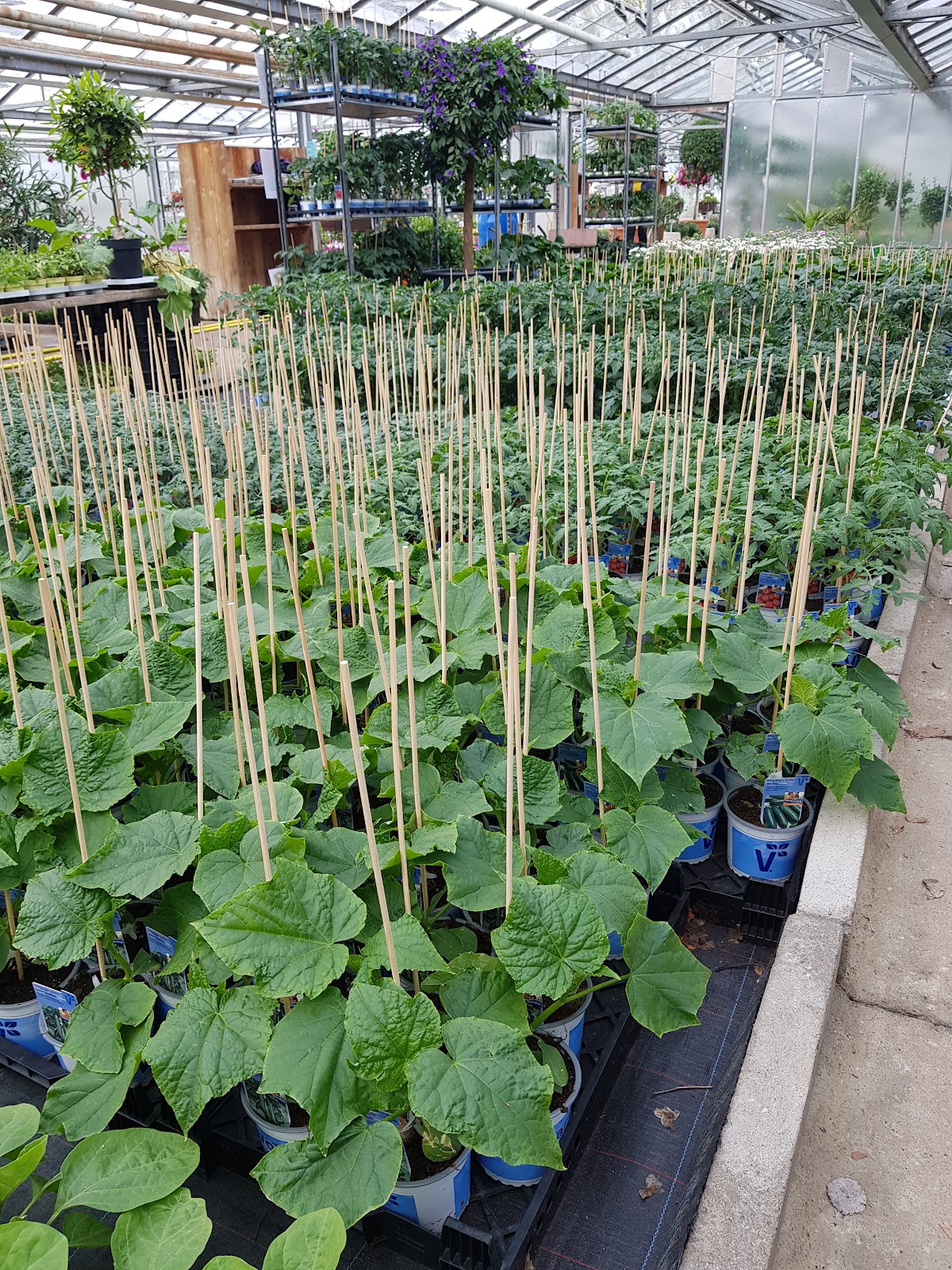 682eb110ab5a2