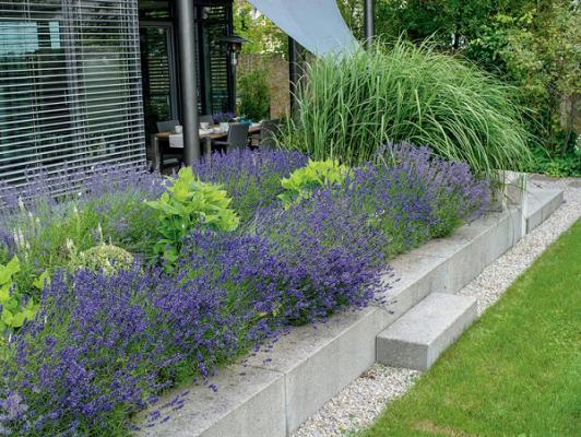 Böhm Gartengestaltung