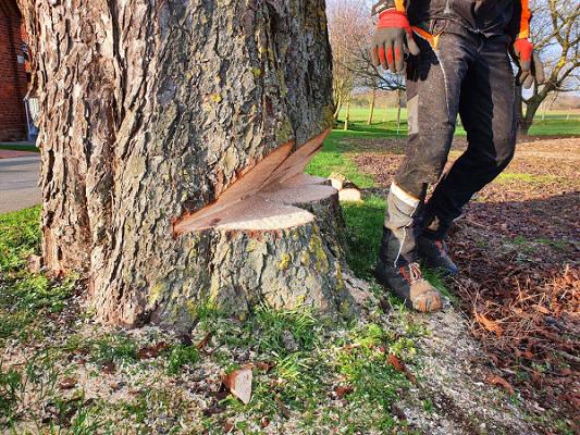 Forstservice & Landschaftsservice Kanning