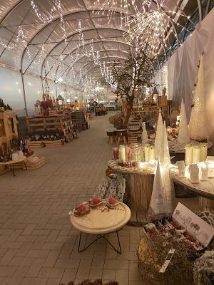 Blumen Petersohn GbR