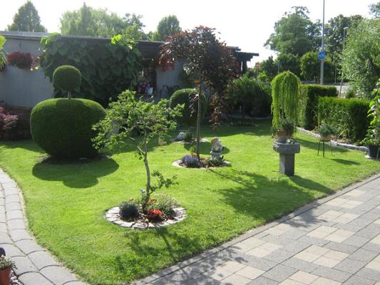 Said Haso Dienstleistungen