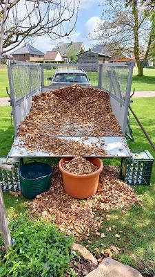 Schaumburger Baum- und Umweltdienste Bückeburg Drinkuth Uwe