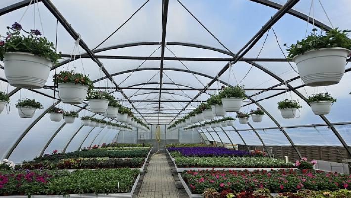 Stephan Golda Gartenbau